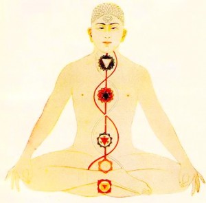 chakra's-kundalini-ida-pingala-sushumna-nadi-